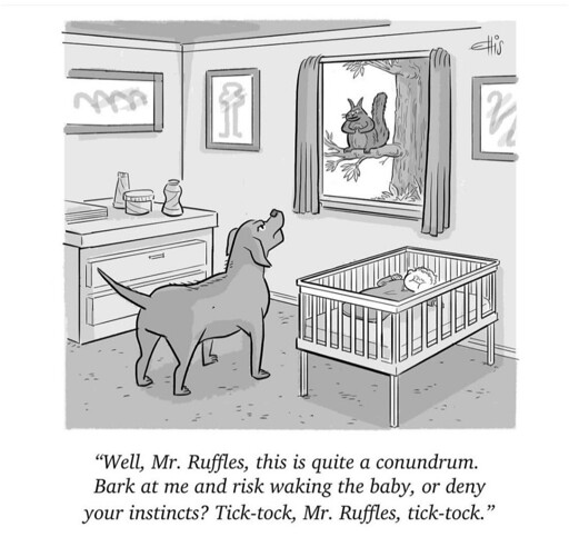 Quite the predicament