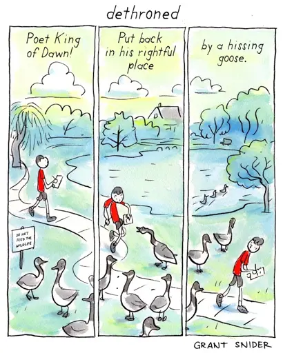 Thre panels of a man walking through a park holding a pencil and paper. A flock of geese are in the foreground. Title at top: Dethroned. Panel 1 text: Poet King of Dawn! Panel 2 text: Put back in his rightful place. Panel 3 text:: by a hissing goose.
